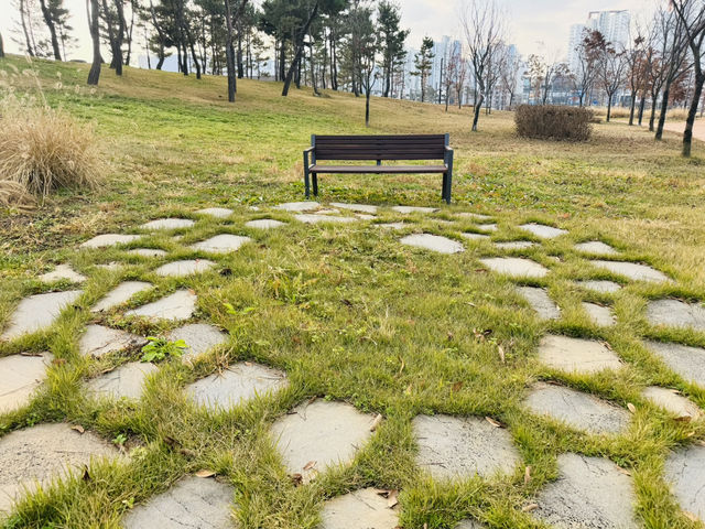 Evergreen Garden: Pyeongtaek’s Secret Sanctuary of Stillness🌿