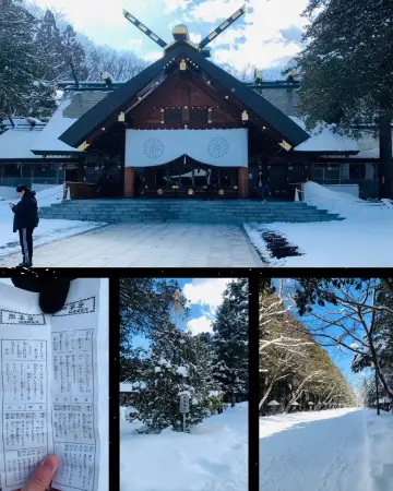 札幌-北海道神宮 × 圓山公園｜雪地散步＋茶屋點心的療癒半日行程