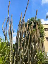 📚伝統と美が集まるコプト文化の宝庫｜Coptic Museum（المتحف القبطى）