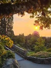 Queen Elizabeth Park