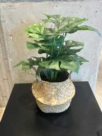 여유가 머무는 따뜻한 브런치 타임💚🌼