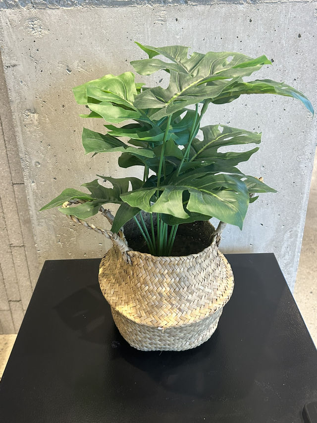 여유가 머무는 따뜻한 브런치 타임💚🌼