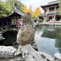 🐟 A Peaceful Local Park Beside the City Center
