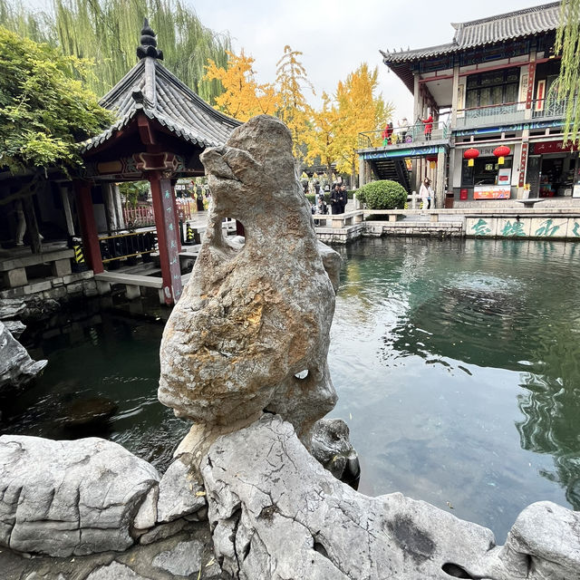 🐟 A Peaceful Local Park Beside the City Center 🐟 A Peaceful Local Park Beside the City Center