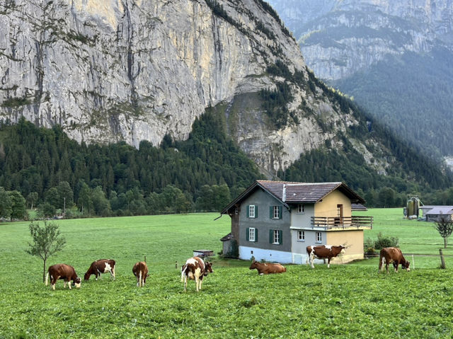 ❄️🏔️ WINTER MAGIC IN LAUTERBRUNNEN VALLEY 🇨🇭✨ ❄️🏔️ WINTER MAGIC IN LAUTERBRUNNEN VALLEY 🇨🇭✨