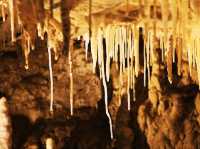 地下星河/懷託摩螢火蟲洞