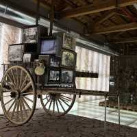 Museu de Prehistòria de València – Tracing the Origins of Humanity in Valencia