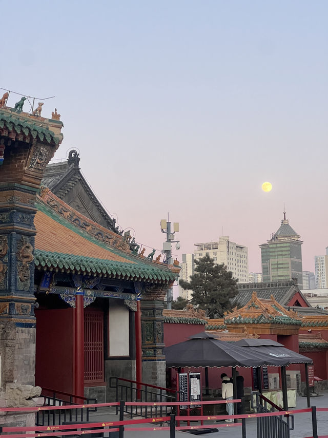 🇨🇳선양 필수 관광명소 선양고궁 방문 꿀팁