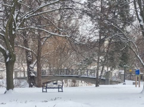Winter in Oshawa, Ontario, always feels like being enveloped in a magical silver world ❄️ A visit to The Oshawa Valley Botanical Gardens was like stepping into a winter wonderland. Whether you're looking to capture stunning snowscapes or enjoy a relaxing winter stroll, it's definitely worth a visit! This iconic garden in Oshawa isn't just a popular spot for flower viewing in spring and summer; its winter snowscape offers a unique charm—a pure white, tranquil corner right in the heart of the city 🤍

🌳 Recommended Attraction: The Oshawa Valley Botanical Gardens

The Oshawa Botanical Gardens is a very popular local getaway, especially during the Peony Festival in May. However, if you come in winter like I did, you'll experience a completely different, healing atmosphere. Under a blanket of snow, the entire garden seems to be enveloped in a frozen time, the air so fresh you can't help but take a deep breath, and every plant and tree transforms into a pure snow sculpture.

📸 Winter Wonderland: A Must-Visit for Photo Opportunities

- 155 Arena St, Oshawa, ON L1J 4E8, Canada

- Opening Hours: 6:00 AM – 10:00 PM year-round, perfect for a morning run or evening stroll.

- Transportation: By car or by bus from the Oshawa GO station (approximately 8 minutes). Parking is available nearby.

- Tips: Remember to wear non-slip boots and a warm jacket in snowy weather! The paths within the park are quite easy to walk on even when covered in snow, making it suitable for families with children.

☕ Facilities and Dining: While there are no restaurants within the park itself, there are several cozy cafes on nearby Arena Street. We recommend trying The White Apron Cafe (151 Arena St, Oshawa). A hot coffee and homemade cake, paired with a snowy view, create an even more wintery atmosphere.

📝 User Experience & Practical Tips:

1. While the snow scenery in the park is beautiful, the open space and strong winds make it highly recommended to bring an extra hat and gloves for warmth, especially as temperatures drop sharply after sunset.

2. A walk around the main path takes about an hour. Don't rush in the snow; a leisurely stroll and taking photos will be more enjoyable.

3. If you enjoy taking portraits or photographing objects in the snow, it's best to visit in the early morning or late afternoon when the sunlight shines obliquely on the snow, creating a wonderful atmosphere!

4. The park opens at 6:00 AM. Visiting during these times allows you to avoid crowds and enjoy a moment of tranquility.

🌟 Additional Tips: If you happen to visit on a snowy day, the snow at The Oshawa Valley Botanical Gardens is very thick. Bring a power bank, camera, and hand warmers so you won't feel cold while taking photos and selfies in the snow. If you have time, you can also explore the nearby Lakeview Park, where the different winter scenery is also worth seeing.

#winterwonderland #Osawasnowscape #botanicalgardens #fblifestyle #winterseason