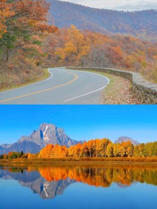 🌄 미국 자연 제대로 보는 코스, 셰넌도어 국립공원