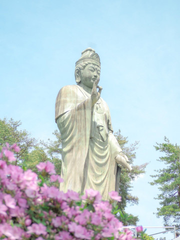 Tokyo] Ome ⌇ Shiofune Kannon-ji Temple Azalea Festival. | Trip