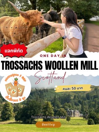 🐄✨ แจกพิกัด “ให้อาหารน้องวัว” ในงบแค่ 50 บาท!!