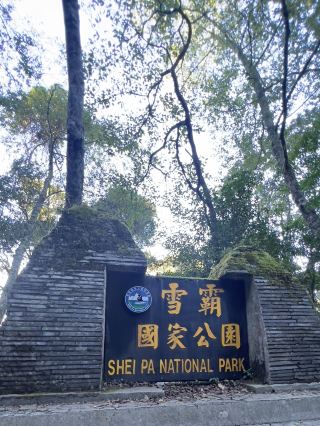 觀霧國家森林遊樂區