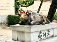 เที่ยวฟุกุโอกะ คิวซู ญี่ปุ่น Spring at Kyushu 2026