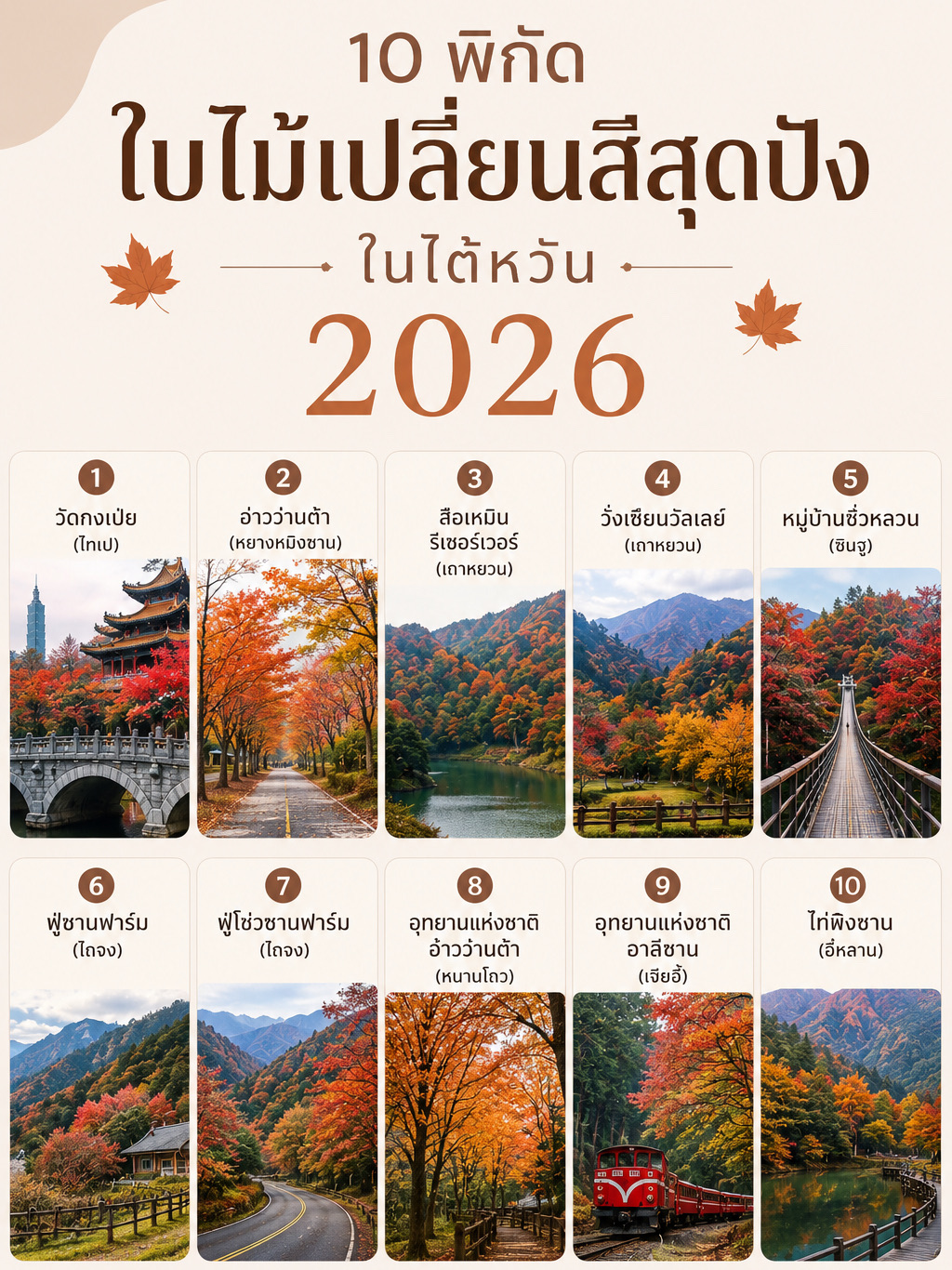 ใบไม้เปลี่ยนสีที่ไต้หวัน 2026 🍁 รวม 10 พิกัด