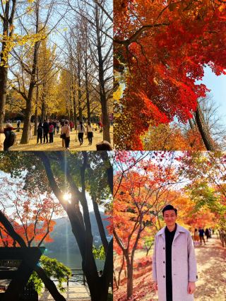 🇰🇷 5D4N Seoul Itinerary Check! Too rushed or just nice? 🤔