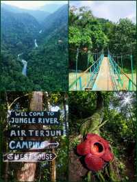 Batu Katak — North Sumatra’s Quiet Jungle Escape 🌿