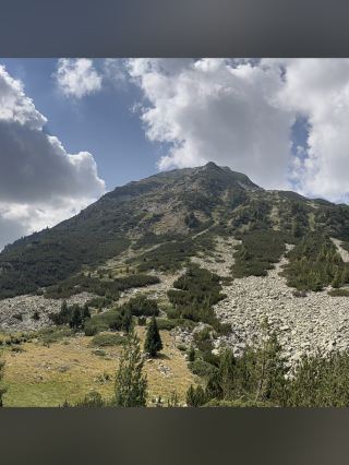 Hiking Through the Ancient White Fir Forests of Bayuvi Dupki