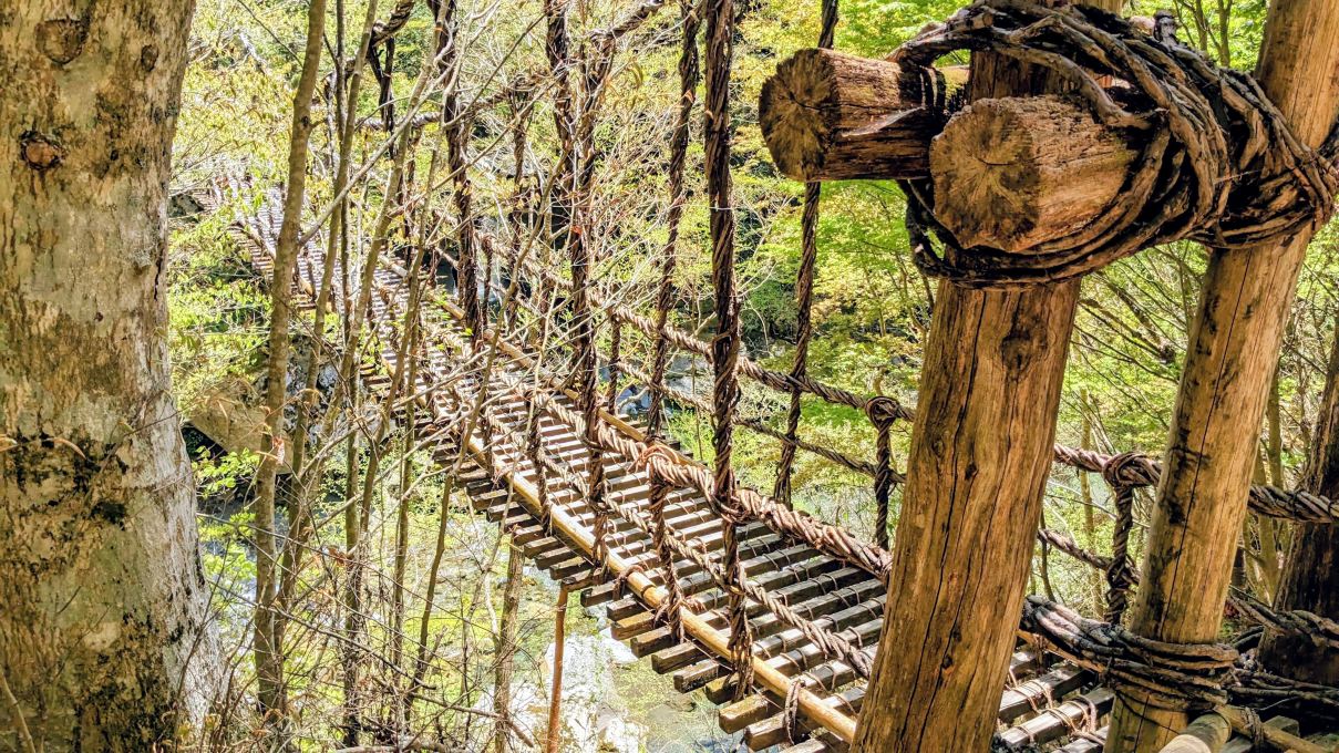 To the remote mountains where legends of the Heike clan remain. Experience the hidden paradise at the "Double Vine Bridge" in Oku-Iya, Tokushima!