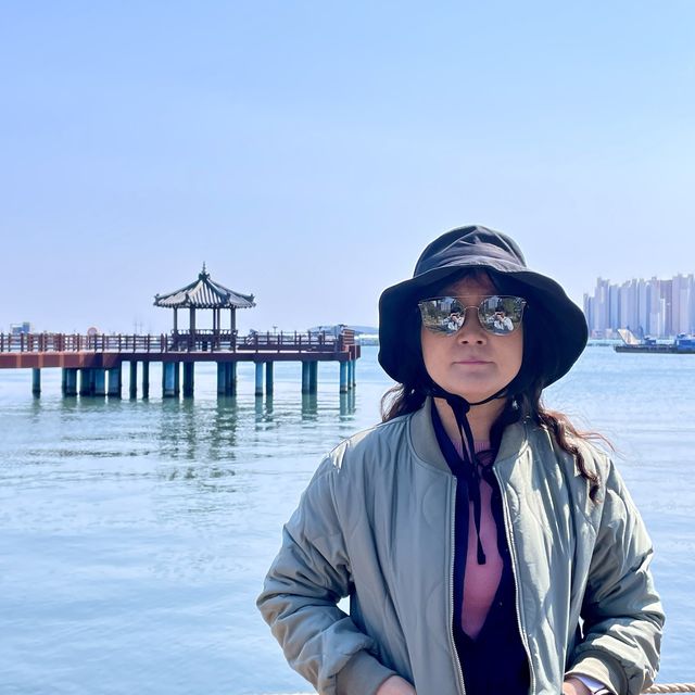 청초호 한가운데에 떠있는 정자