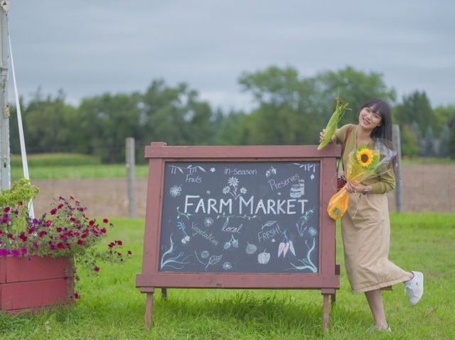 🇨🇦토론토 팜마켓 및 해바라기 꽃밭 탐방하기 - Robintide Farms!🌻