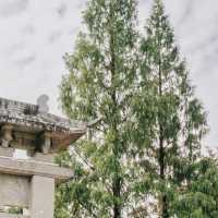 Lost in Longmen 