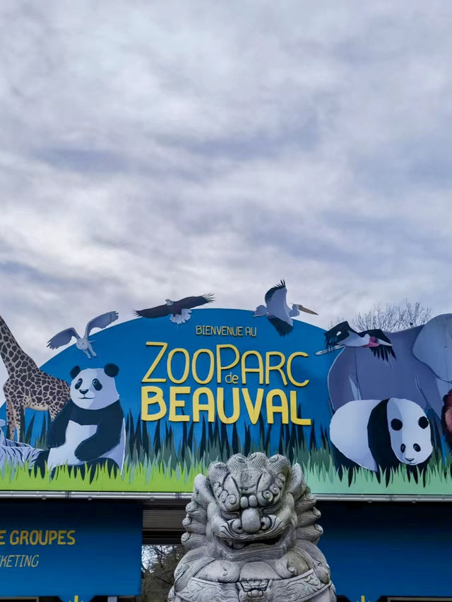 異國生靈的奇幻邂逅——法國博瓦勒動物園漫遊記