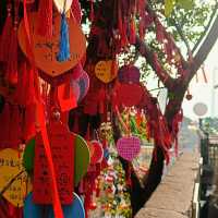 "Chongqing Adventures: Temples, Caves, and Timeless Streets!"