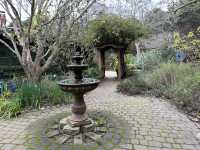 加州弗里蒙特市郊狼山區域公園