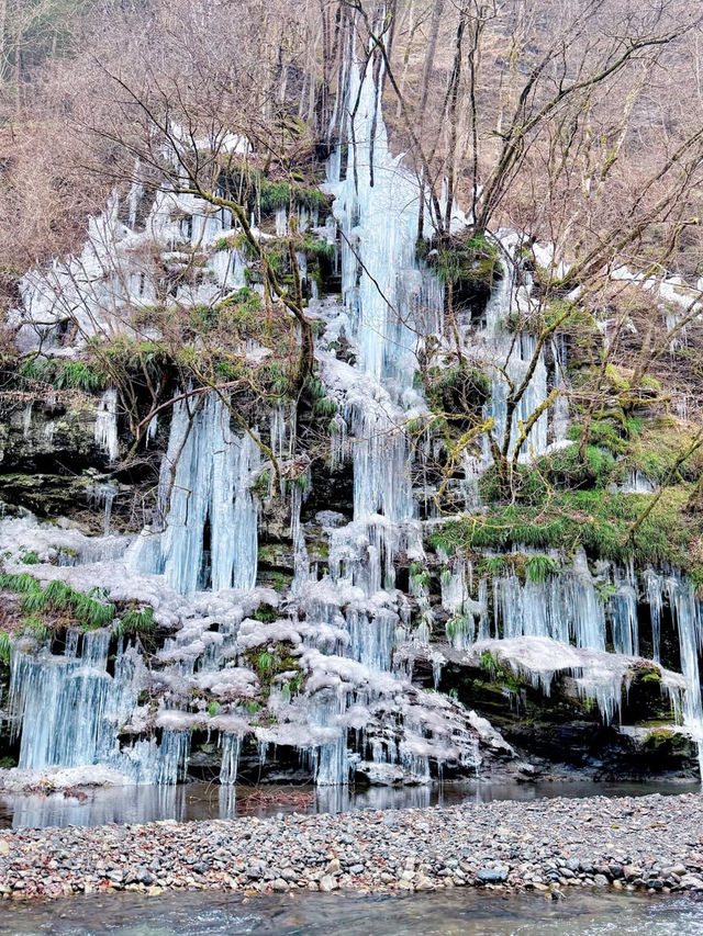 【埼玉】秩父の氷柱