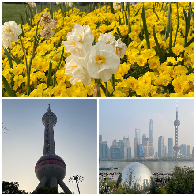 🌃上海外灘|流轉百年的黃浦江畔風華 🌃上海外灘|流轉百年的黃浦江畔風華