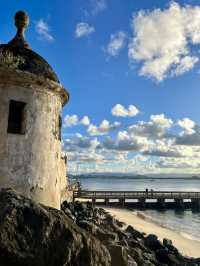 Tropical Dreamscape🌴