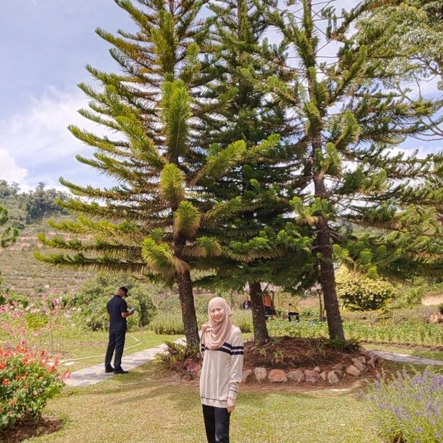 สวนไม้ดอกเมืองหนาวเบตง (สวนหมื่นบุปผา)