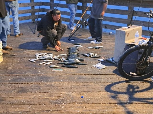 Pismo Beach 休閒生活的世界