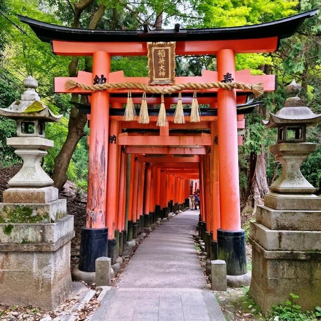 ⛩️伏見稻荷大社⛩️建於西元 711 年神社