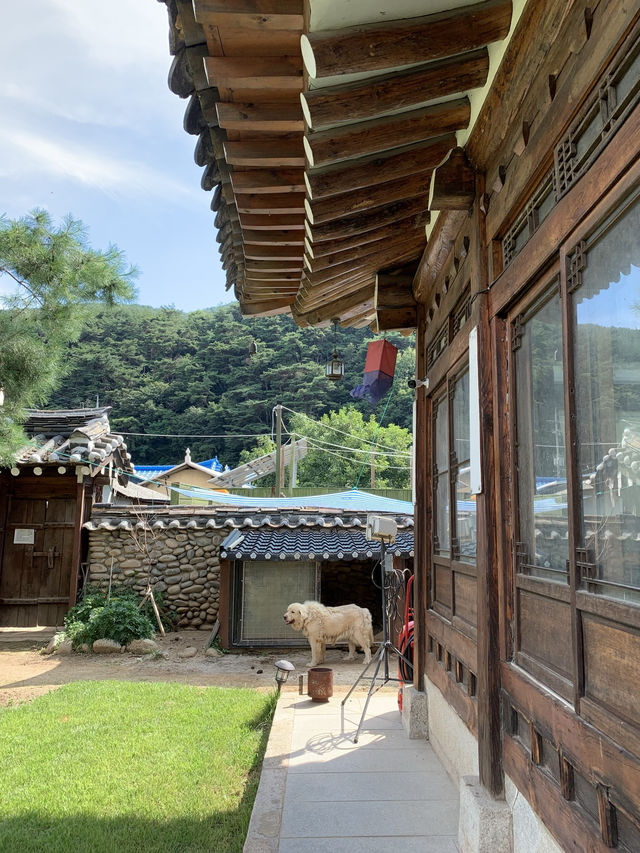 단양여행 고즈넉한 숙소추천 단양별빛한옥펜션