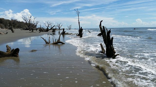 Charming Charleston