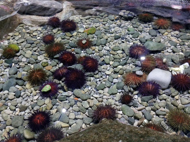 Bioparc Acuario de Gijón 🇪🇸