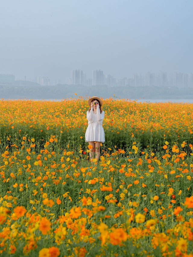 남양주 한강시민공원(삼패지구)