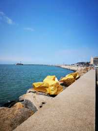 From Port to Promenade: A Travel Log of Le Havre