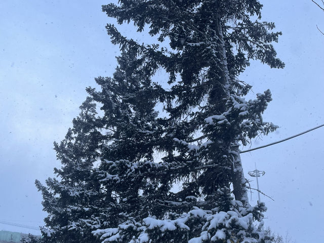 Winter city
