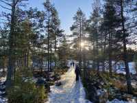 Deep into the winterland of snow in Nuuksio National Park, Finland! 🌿🏞️