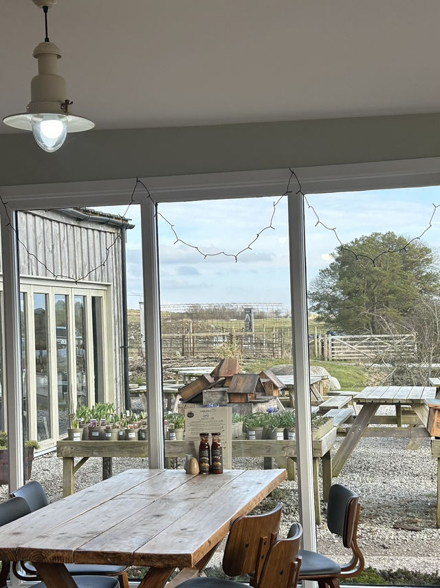 BEYOND PENRITH: Highland Cows, Waterfalls, Wild Views!