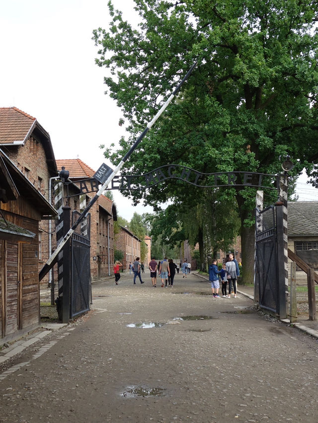 Auschwitz: A Profound Visit to a Dark Chapter of History