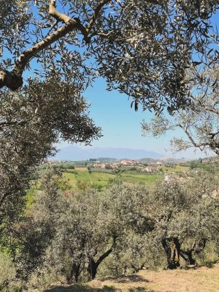 Frosinone spring vibes 🇮🇹