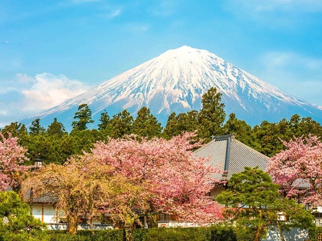 The iconic symbol of Japan "Mount Fuji": The nature lovers destination!