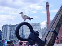 🚢 Explore the Royal Albert Dock – A Historic Waterfront Gem in Liverpool