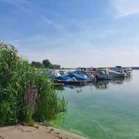 Palaces and Rivers: A Day in Potsdam and Brandenburg an der Havel