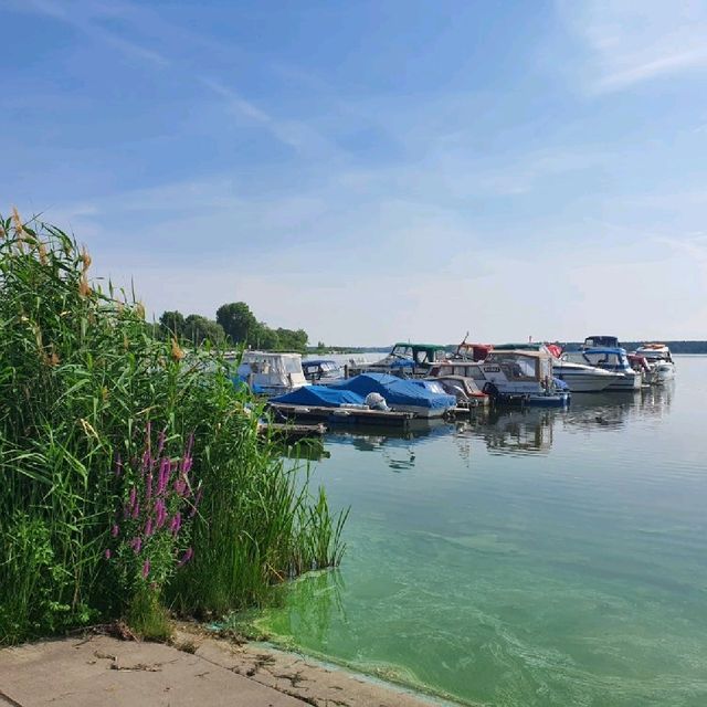 Palaces and Rivers: A Day in Potsdam and Brandenburg an der Havel