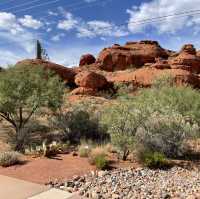 🚗🌵 Red Hills Desert Garden – The Perfect Scenic Stop Between National Parks 🦖🌺